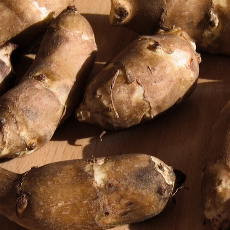 Aardpeer